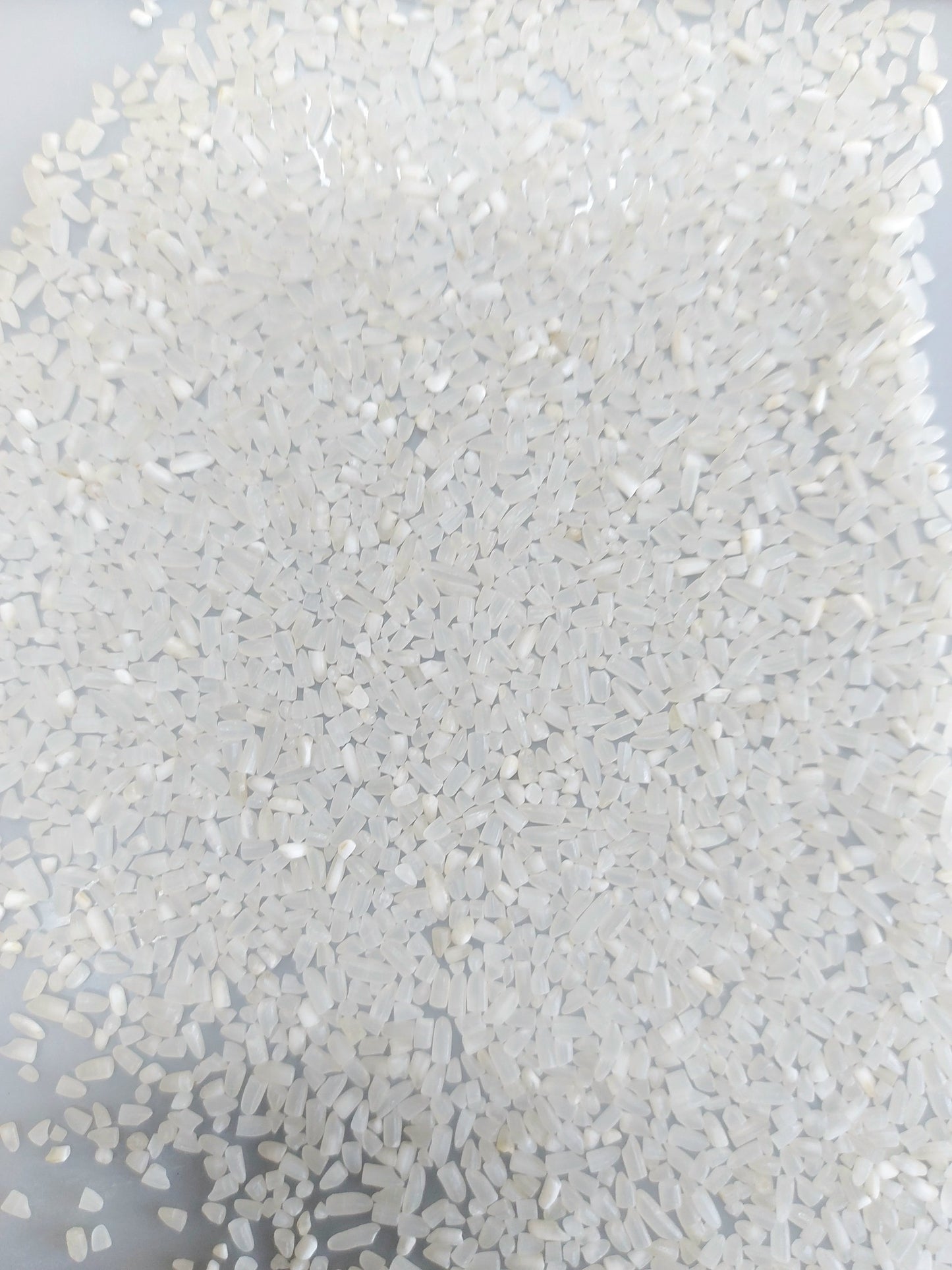 100% Broken Fragrant Rice