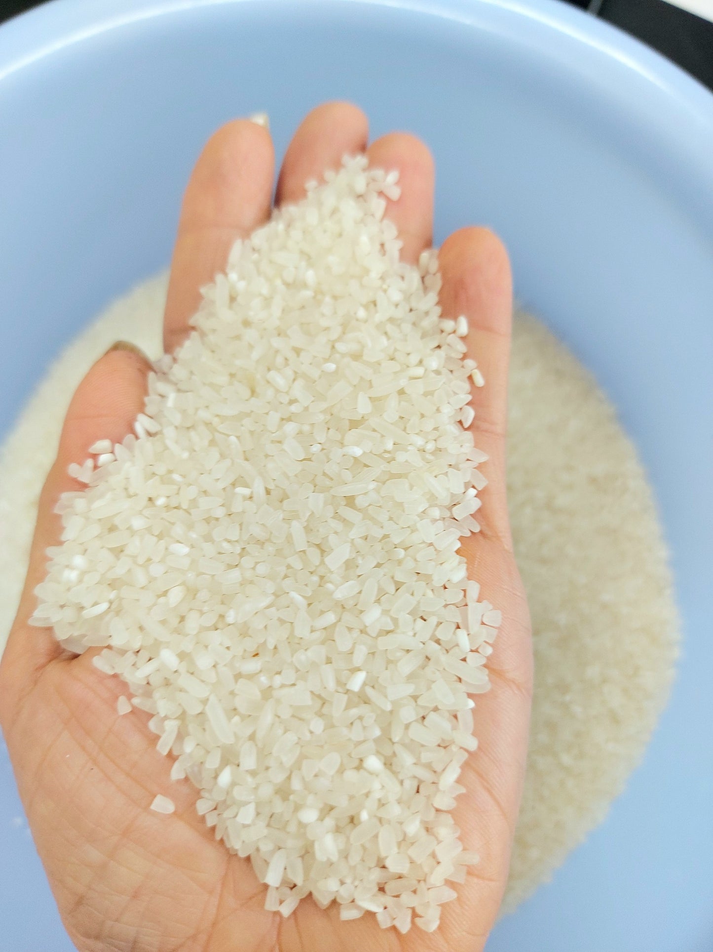 100% Broken Fragrant Rice