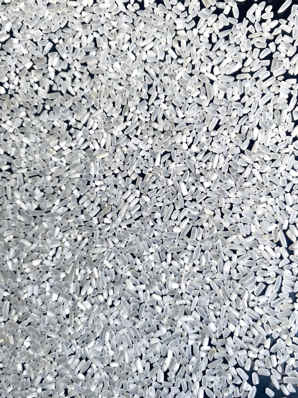 100% Broken Fragrant Rice