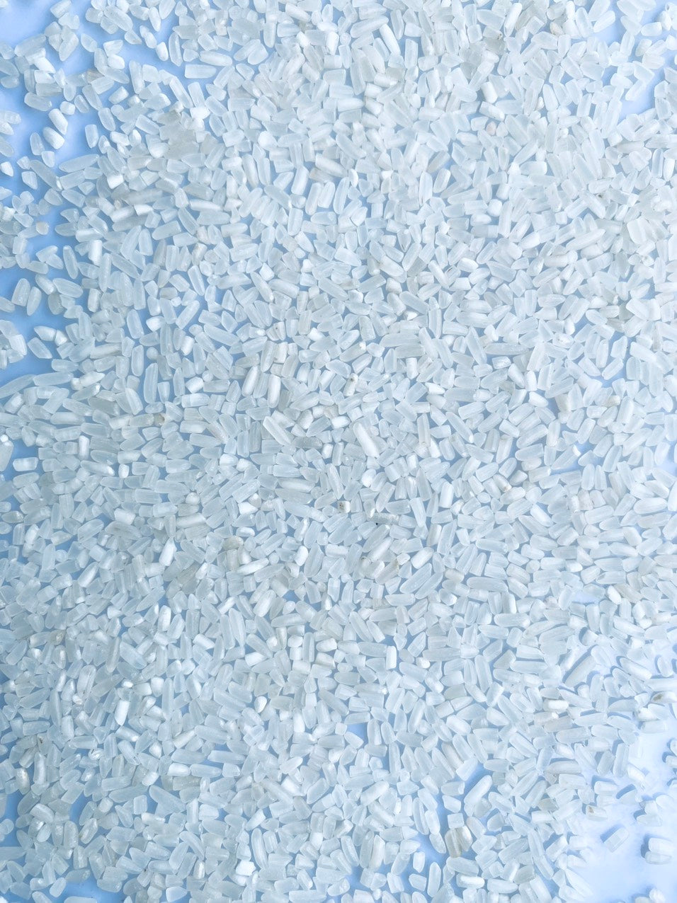100% Broken Fragrant Rice