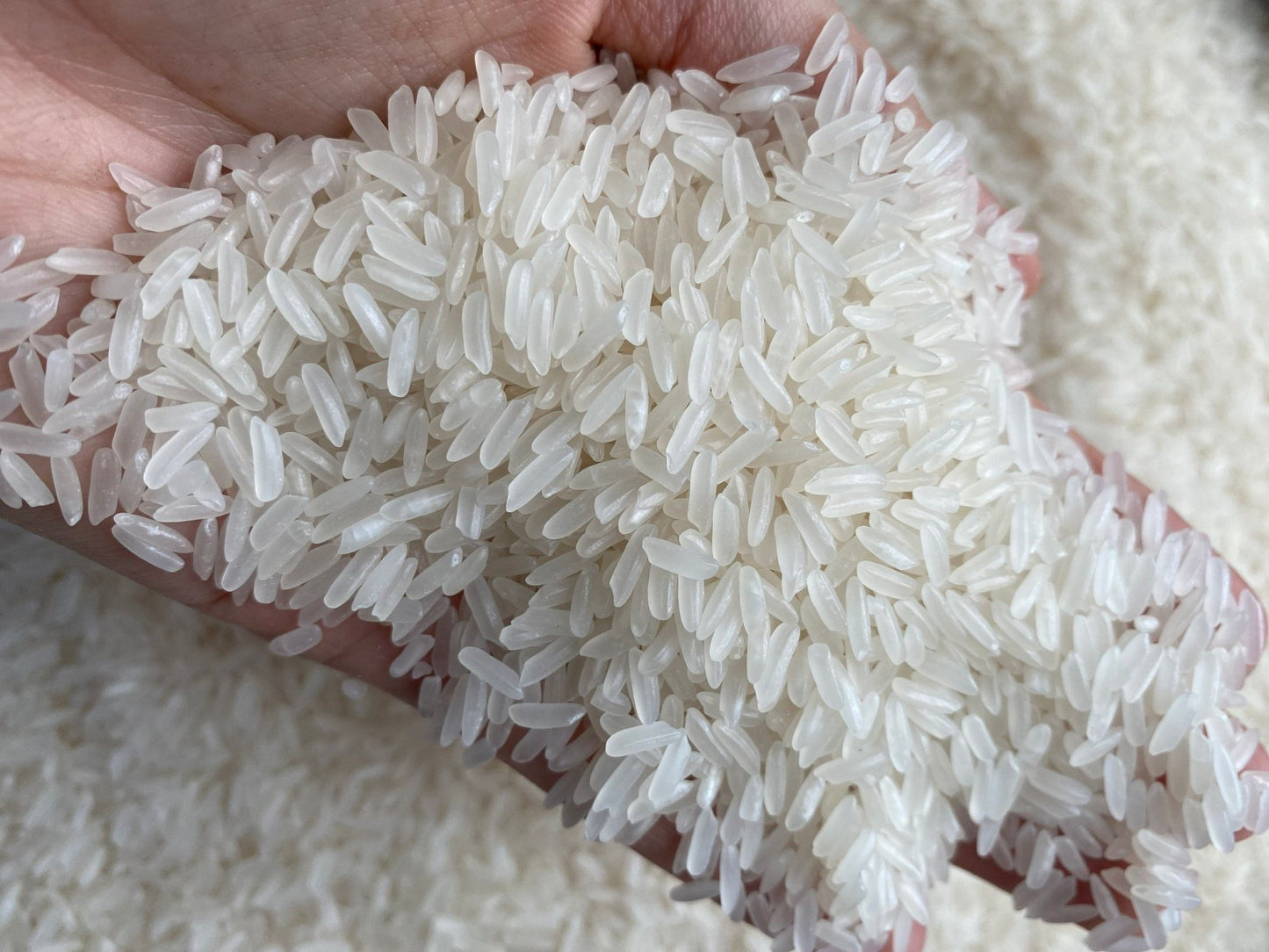 Jasmine Rice