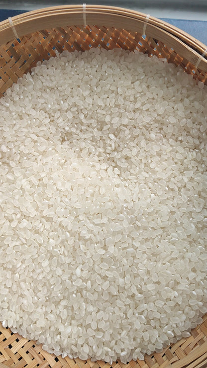 Japanese Short Grain Rice